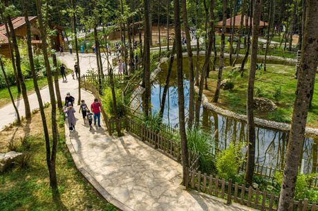 18-19 Ekim Yedigöller Milli Parkı Ormanya Maşukiye Turu